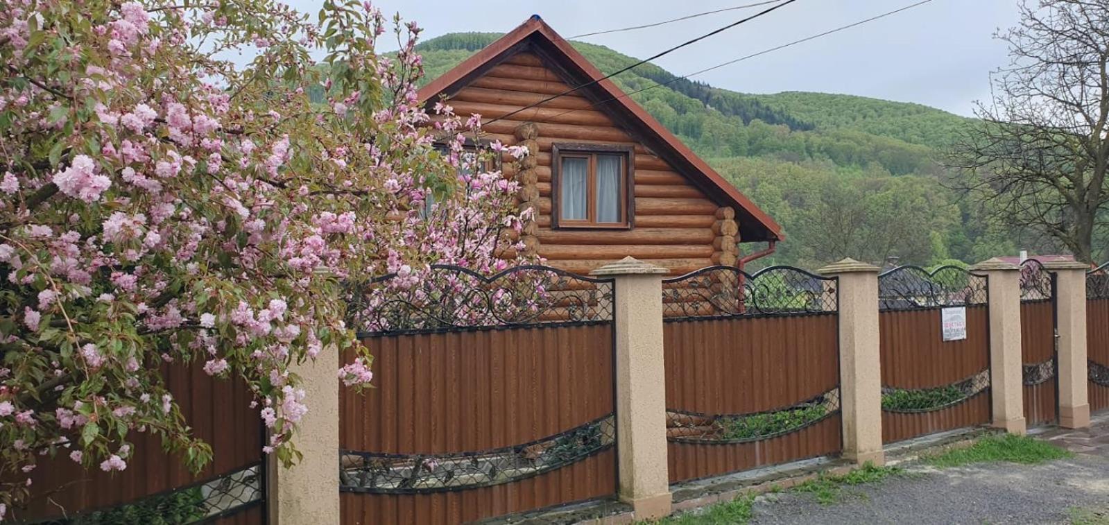 Smerekovyi Dvir Polyana  Exterior photo
